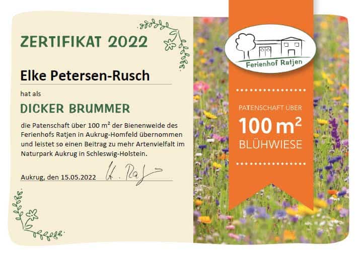Klimaschutz – Bienenweide 2022 Klimaschutz – Bienenweide 2022
