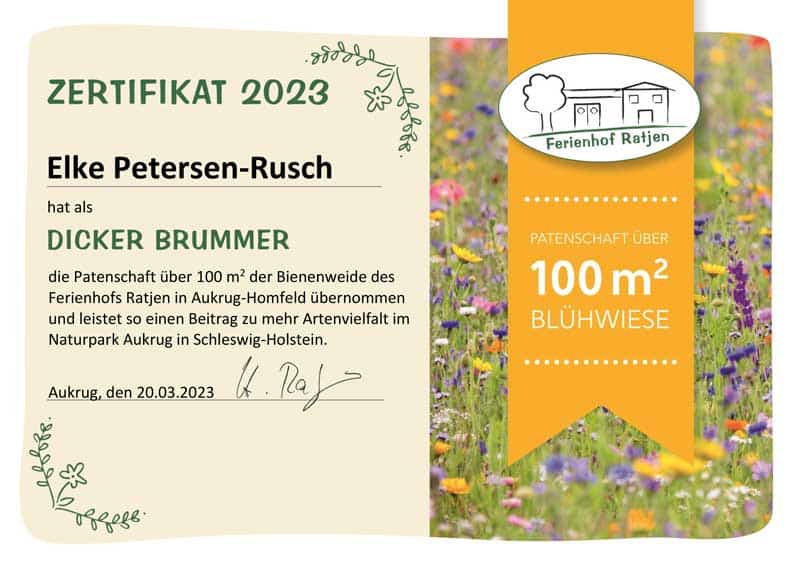 bienenweide-2023 Klimaschutz – Bienenweide 2023